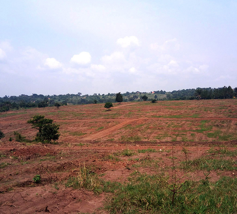 Luwero land